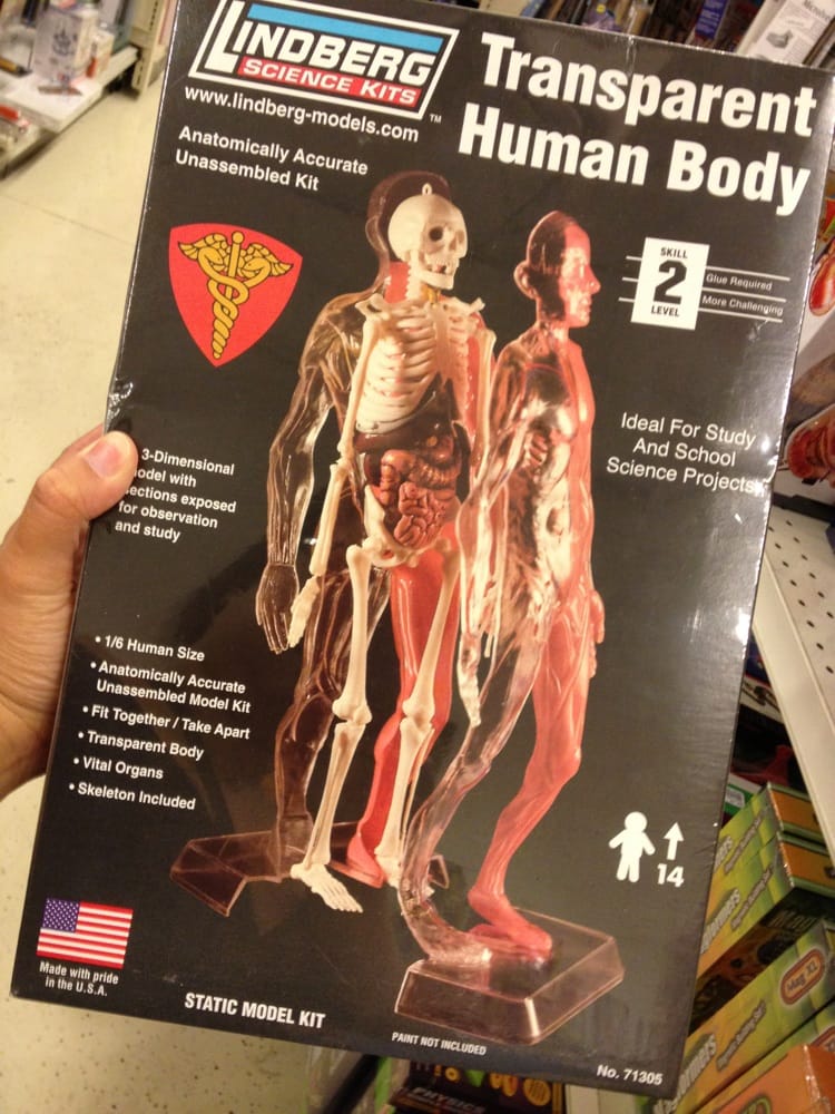 Hobbytown USA Toy Stores Las Vegas, NV Yelp