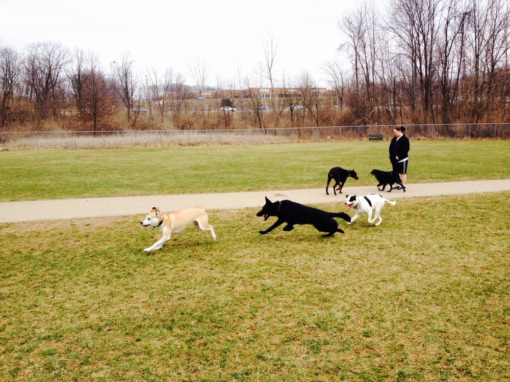 fenced parks near me o jpg fenced parks near me o jpg