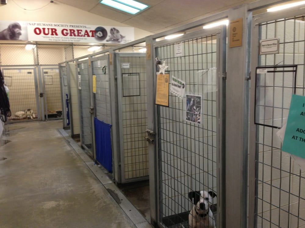 Kitsap Humane Society 10 Photos Animal Shelters Silverdale, WA