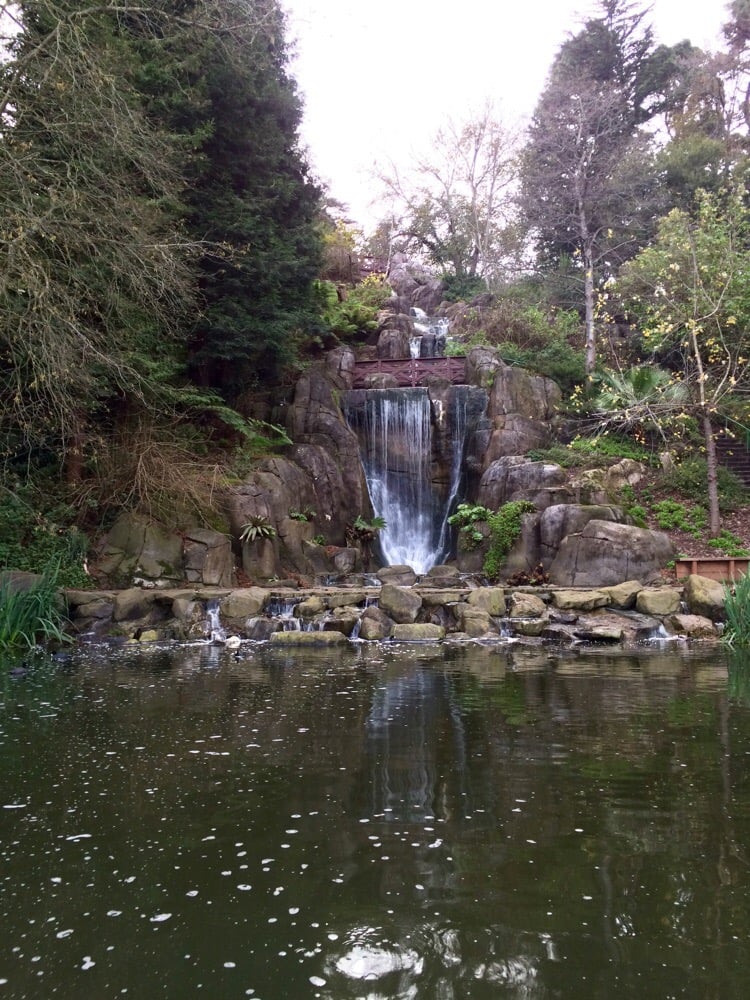 Stow Lake Boathouse Boating San Francisco, CA Reviews Photos Yelp