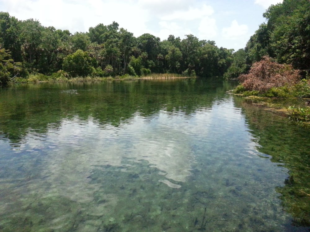 Alexander Spring 12 Reviews Campgrounds Altoona, FL Photos Yelp