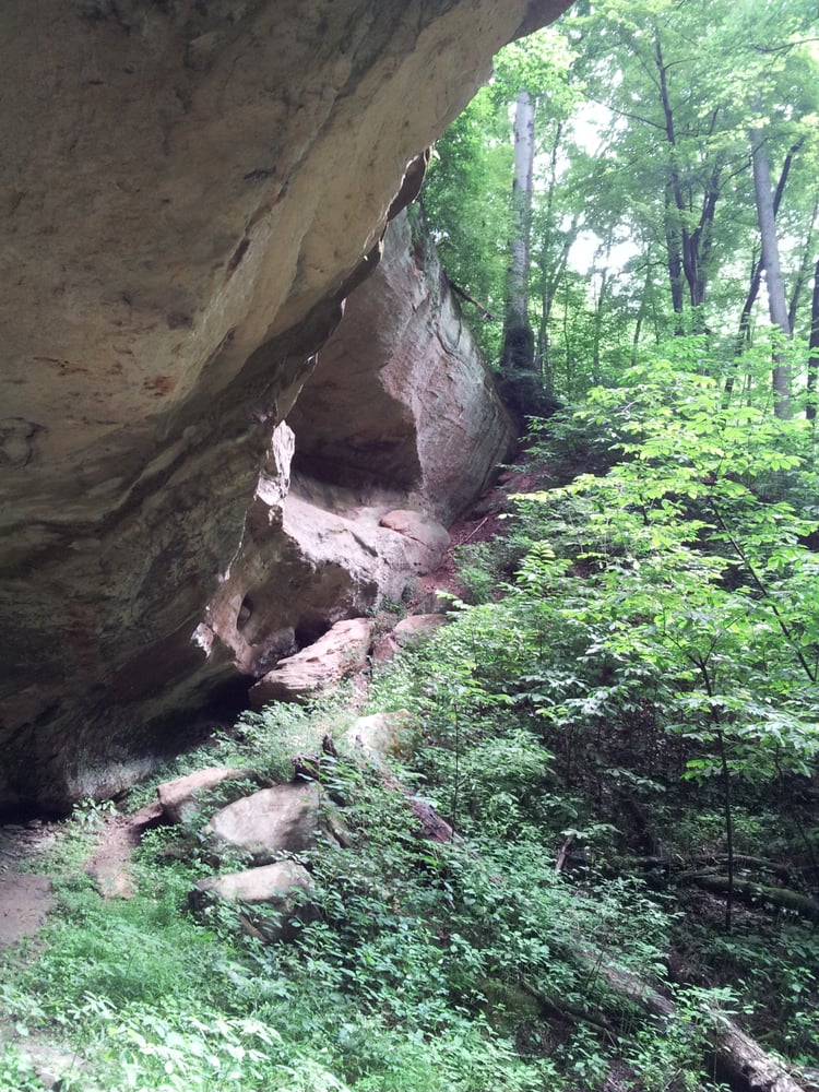 Strouds Run State Park Hiking Reviews Yelp