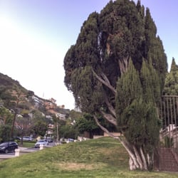 Wattles Mansion and Community Garden - 27 Photos - Community Gardens