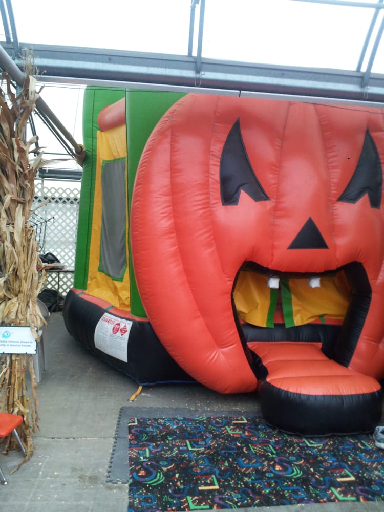 deMonye’s Greenhouse Nurseries & Gardening Columbus, OH Yelp