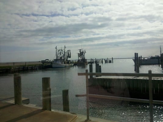 bacliff dating Gulf coast weekly fishing reports for selected texas inland and coastal waters, with access to past reports. bacliff dating Gulf coast weekly fishing reports for selected texas inland and coastal waters, with access to past reports.