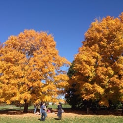 University Of Illinois Arboretum