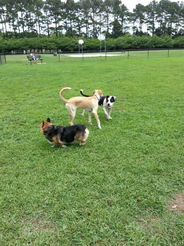 Dog Parks In Virginia Beach Va Dog Parks In Virginia Beach Va