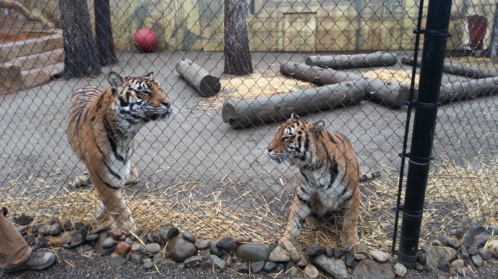 Cat Tales Zoological Park 45 Photos Amusement Parks Spokane, WA