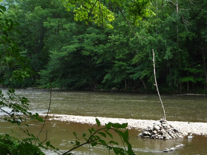 Black Bear Phoenicia Campground 14 Photos Campgrounds Phoenicia, NY Reviews Yelp