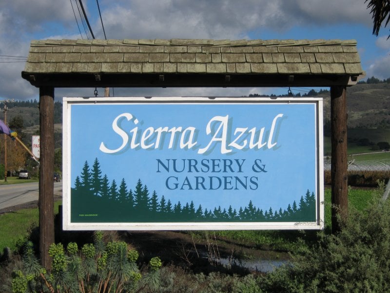 Sierra Azul Nursery & Garden Nurseries & Gardening Watsonville, CA