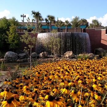 Catalina Cafe Cascades Park Catalina Cafe Cascades Park