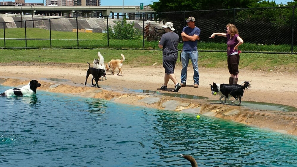 Danny Jackson Dog Park 65 Photos Dog Parks 4700 Westpark