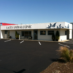 United singles lacey wa