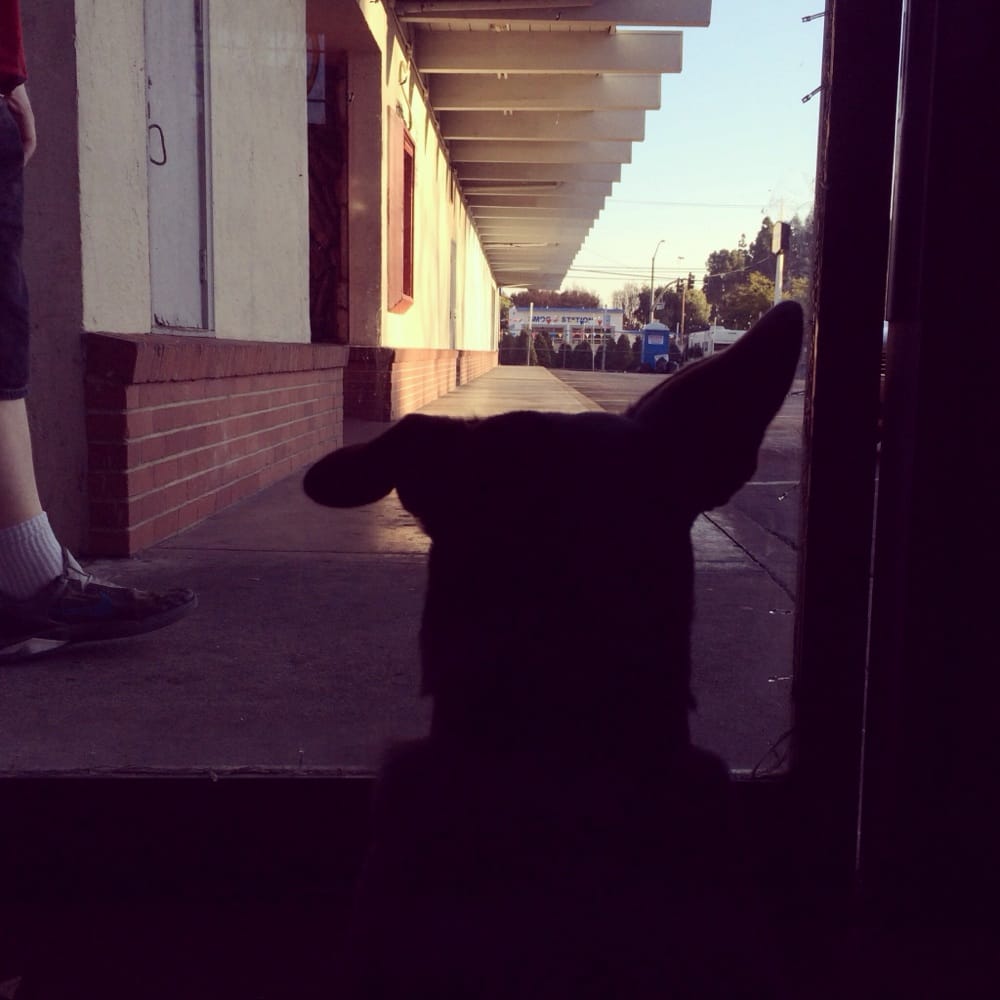 Superway Aquarium Aquariums 177 W Tennyson Rd Hayward, CA