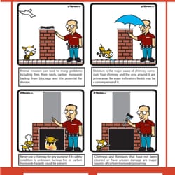 Senel Inspections logo