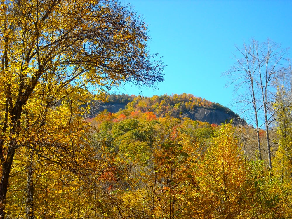 Pisgah National Forest Hiking Pisgah Forest, NC Yelp