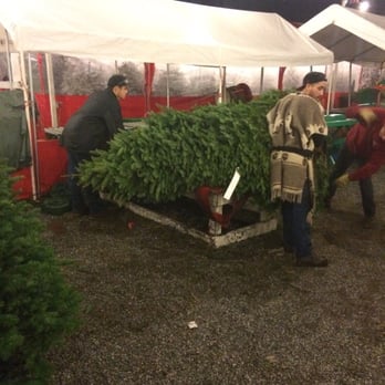 battaglia ranch christmas tree farm 23 photos battaglia ranch christmas tree farm 23 photos