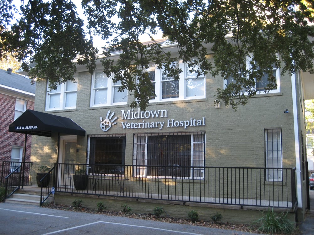 Midtown Veterinary Hospital 19 Photos Veterinarians Montrose