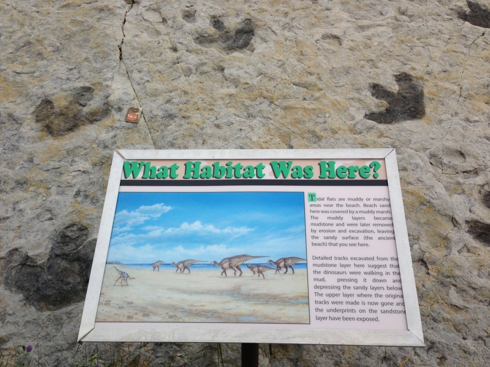 Dinosaur Ridge Morrison, CO Yelp