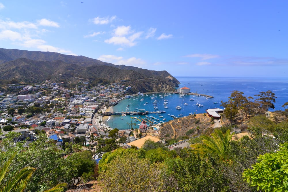 Coupons for catalina express from dana point