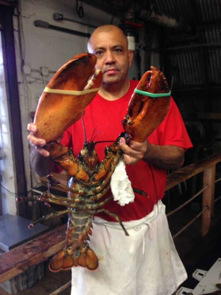 Jordan Lobster Farms - Island Park, NY, United States
