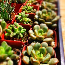 Nordic Landscape Supply logo