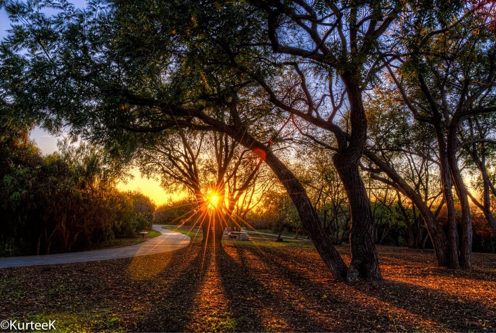 Niles Community Park Parks Fremont, CA Yelp