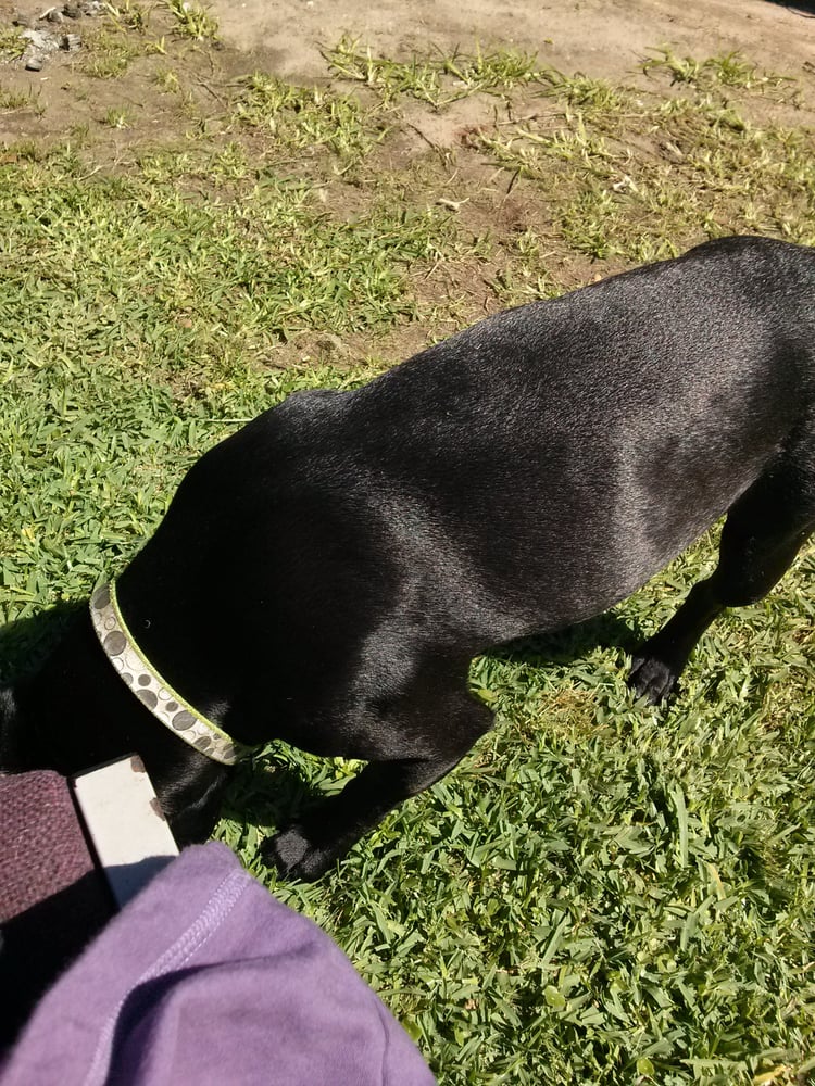 Kenner City Park Pavilion 14 Photos Parks Kenner Kenner, LA Reviews Yelp