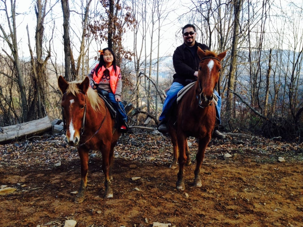 Queen’s Farm Stables 12 Photos Horseback Riding 2180 Dellwood Rd