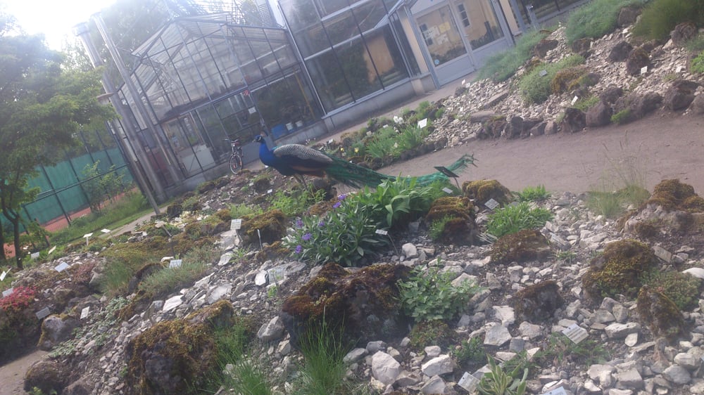 Botanischen Garten der Universität Oldenburg - 35 Photos - Museums