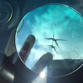 Glass FX Auto Glass - San Antonio, TX, United States. Before, fresh ding.