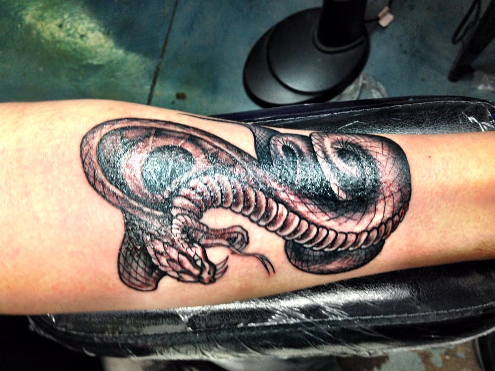 icon tattoo amp body piercing 12 photos piercing icon tattoo amp body piercing 12 photos piercing