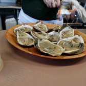 Tarks Of Dania Beach - Dania Beach, FL, United States. Oyster s