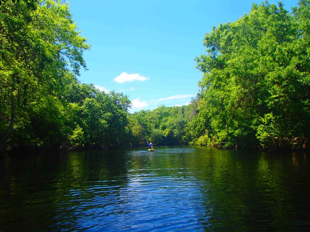 The Paddling Center at Shingle Creek 18 Photos Rafting/Kayaking