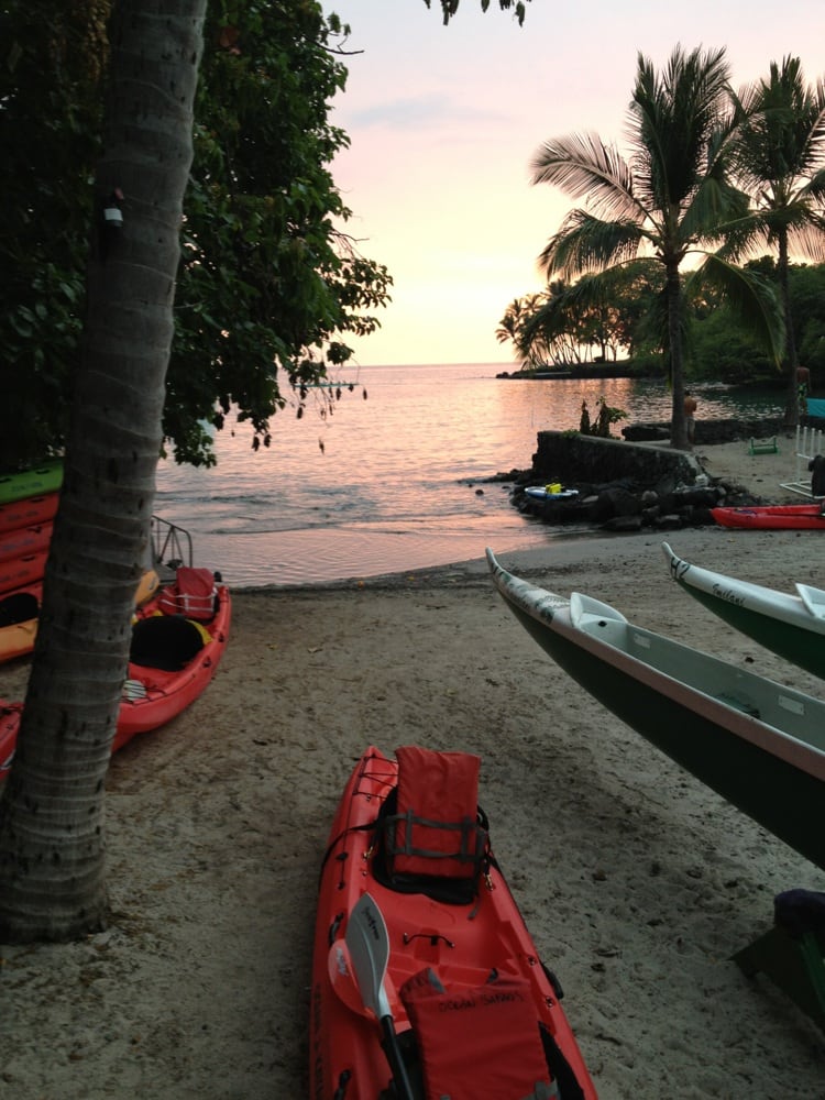 Ocean Safaris Kayak Adventures Reviews Yelp