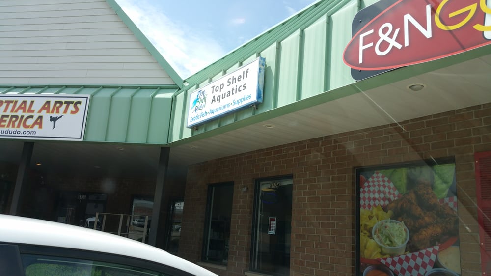 top shelf aquatics pet stores westwood cincinnati top shelf aquatics pet stores westwood cincinnati