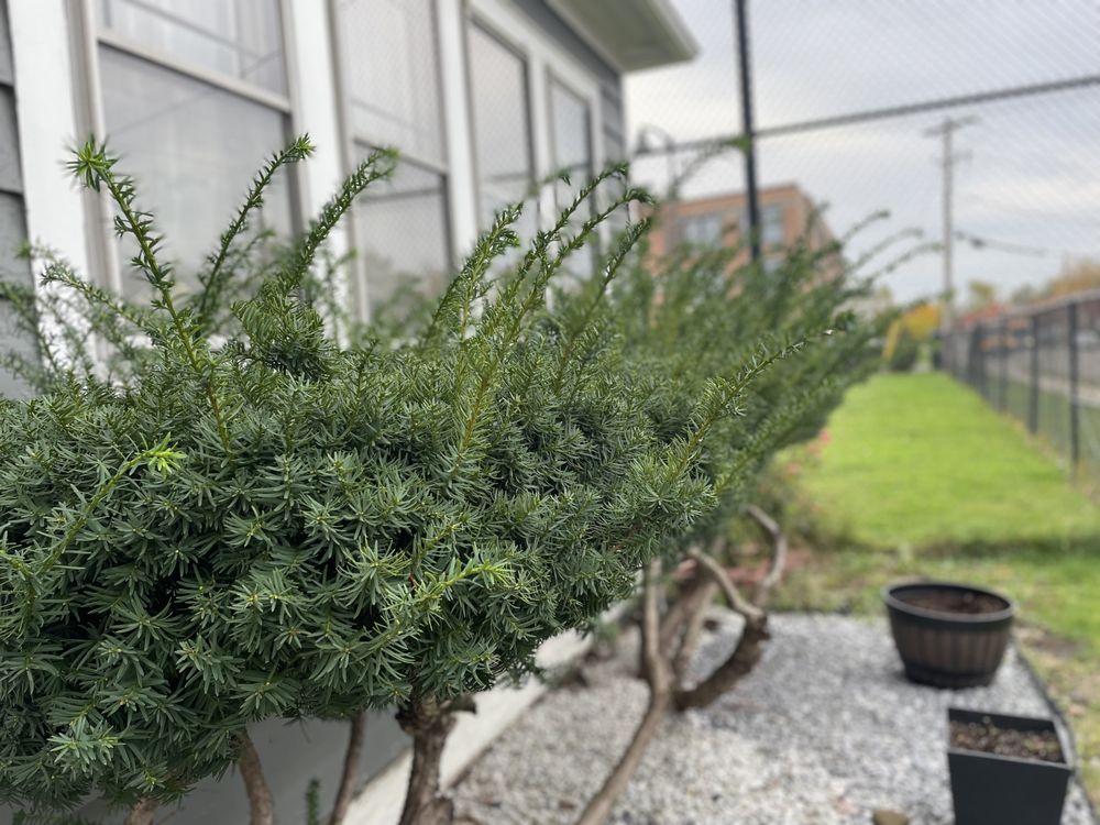 Gray’s Lawn Care & Landscaping