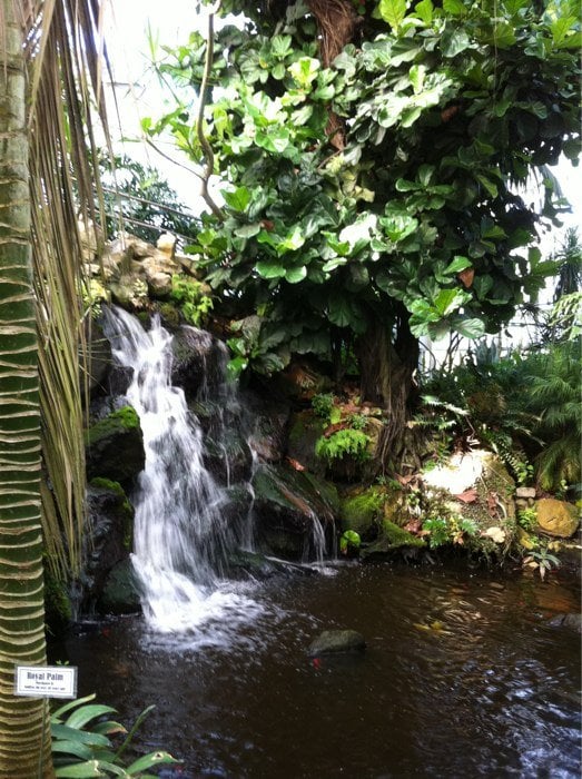 Photos for Ott�s Exotic Plants Yelp