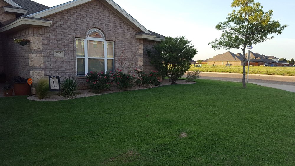 Tree World Nursery & Landscaping