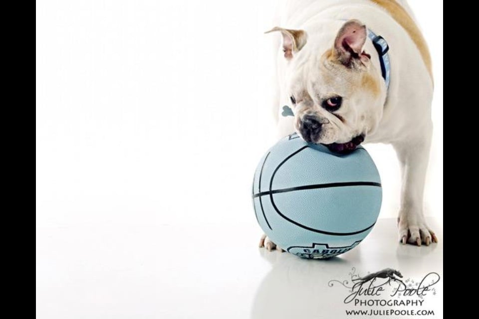 Julie Poole Photograpy