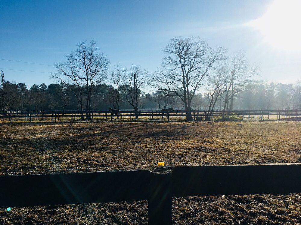 North Houston Horse Park Horseback Riding 17082 Lexington Dr, Conroe, TX Phone Number Yelp