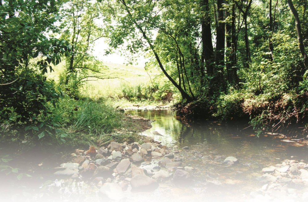 image of business Cross Creeks Dental