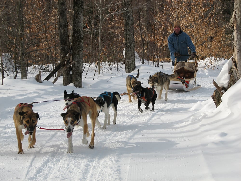 Eden Dog Sledding Tours 1390 Square Rd, Eden, VT Phone Number Yelp