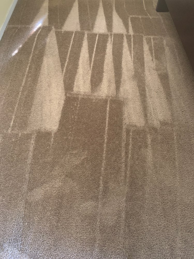 Payless carpet cleaners
