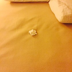 Western Inn Spanish Fork Hotels 632 Kirby Ln Ut Photo Of Western Inn Spanish Fork Ut United States Disgusting
