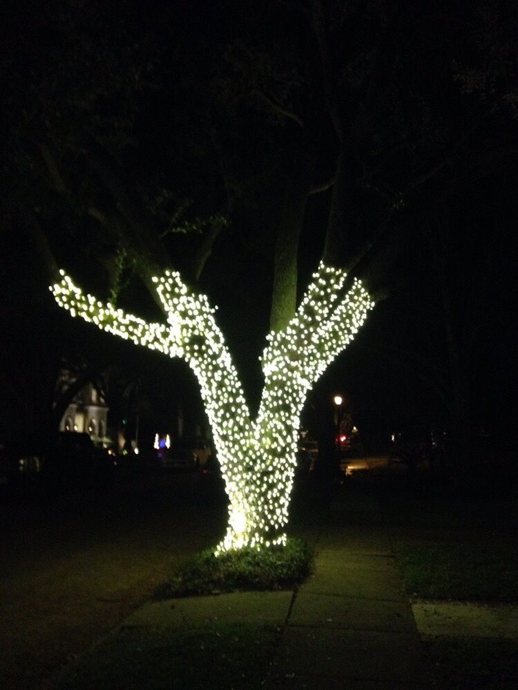 Led Using About 1200 Lights A Decent Tree Wrap Like This