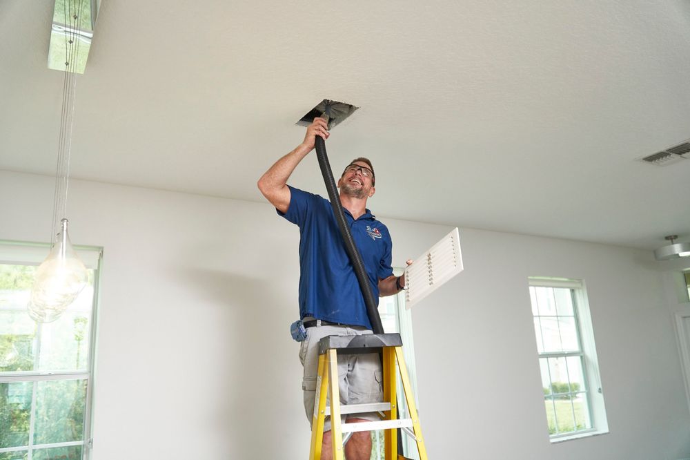 3D Carpet Cleaning and Restoration