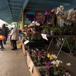 Photo of Alemany Farmers Market - San Francisco, CA, United States