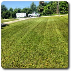 Abaco Lawn Care Landscaping 2149 Pumpkin Pl Ne Palm Bay Fl Photo Of Abaco Lawn Care Palm Bay Fl United States