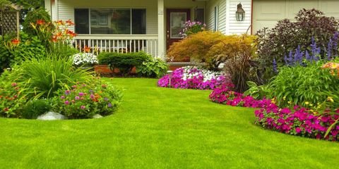 Smith Brothers Lawn Service